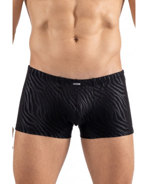 Boxer noir  gold Zebra - LM2403-67BLK