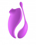 2en1 Stimulateur clitoridien à picots par aspiration avec son œuf vibrant à distance violet - 0-B0009PUR