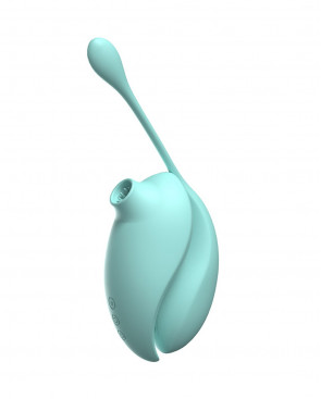 2en1 Stimulateur clitoridien à picots par aspiration avec son œuf vibrant à distance turquoise - 0-B0009TUR