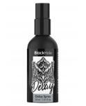 Spray Retardant Black Hole Delay Spray 30 ml - D-239845