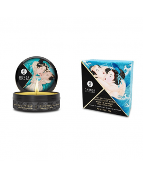 Calendrier de l’Avent SHUNGA – Édition 25ᵉ Anniversaire – 25 produits - CC0251
