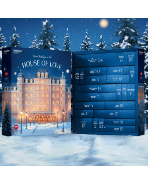 Calendrier de l’Avent Coquin Satisfyer Deluxe 2025 – 24 surprises - SADELUXE