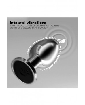 Plug vibrant acier inoxydable anal taille M avec télécommande, USB - RY-207-M