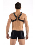 Harnais homme simili cuir larges sangles avec anneaux - LM302412187 Harnais homme simili cuir larges sangles avec anneaux - LM302412187