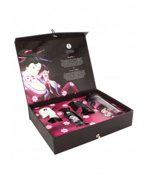 Coffret Ensemble coquin 4 produits Shunga - CC2005