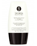 Coffret Ensemble coquin 4 produits Shunga - CC2005