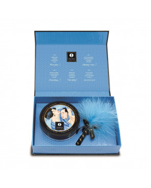 Mini Coffret poudre corporelle noix de coco et plumeau assorti - CC1103