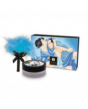 Mini Coffret poudre corporelle noix de coco et plumeau assorti - CC1103