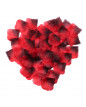 Pack de 100 Pétales de Rose - 100610RED