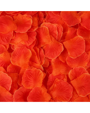 Pack de 100 Pétales de Rose - 100610RED