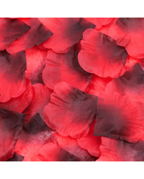 Pack de 100 Pétales de Rose - 100610RED