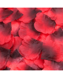 Pack de 100 Pétales de Rose - 100610RED
