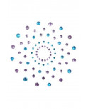 Paire de cache tétons adhésifs strass bleu et violet - NP-1020BLU