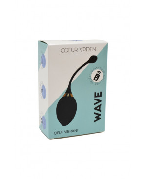 WAVE, Un Œuf vibrant noir USB avec télécommande, dans un silicone médical doux et lisse - B50BLK